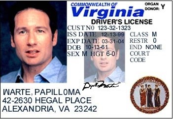 Court Codes On Va Drivers License